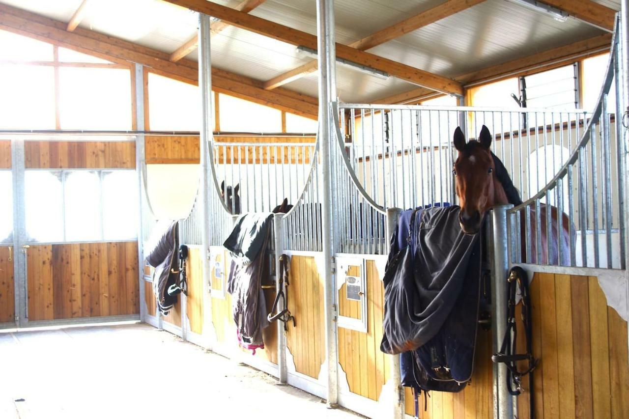 Ecuries Vineuil Jump Holiday home Vineuil (Loir-et-Cher)